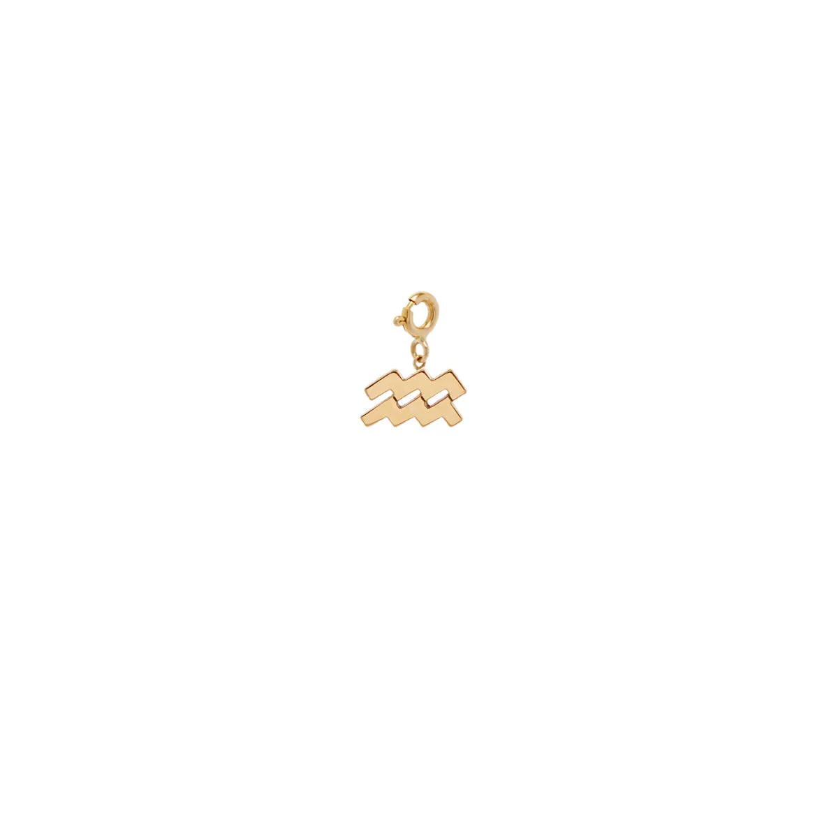 14k Midi Bitty Zodiac Charm Pendant on Spring Ring