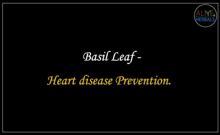 Basil Leaf