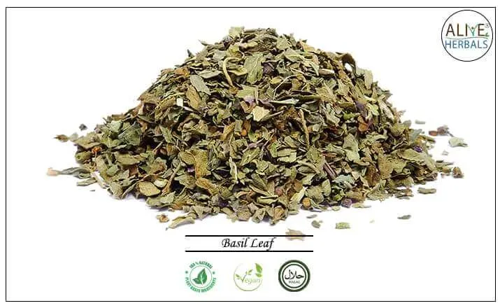 Basil Leaf