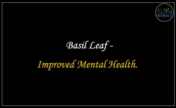 Basil Leaf