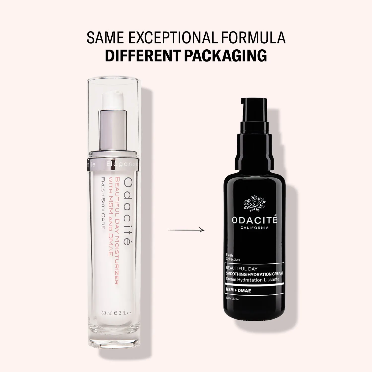 Beautiful Day • Smoothing Hydration Cream  • Crème MSM  DMAE