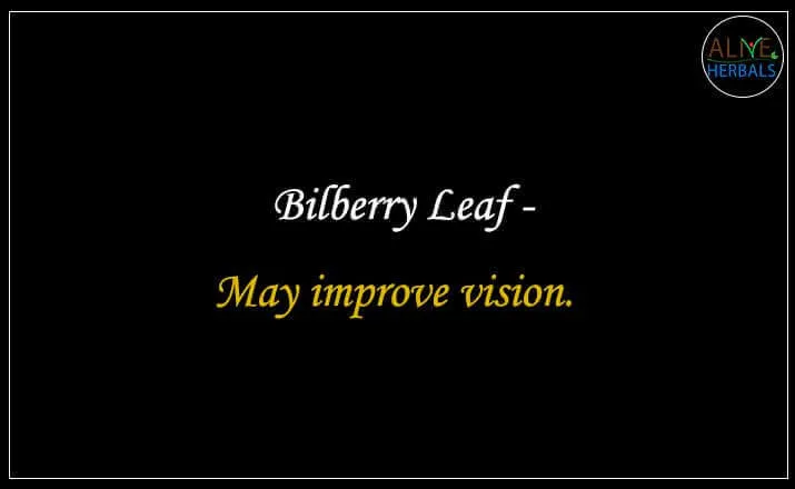Bilberry Leaf