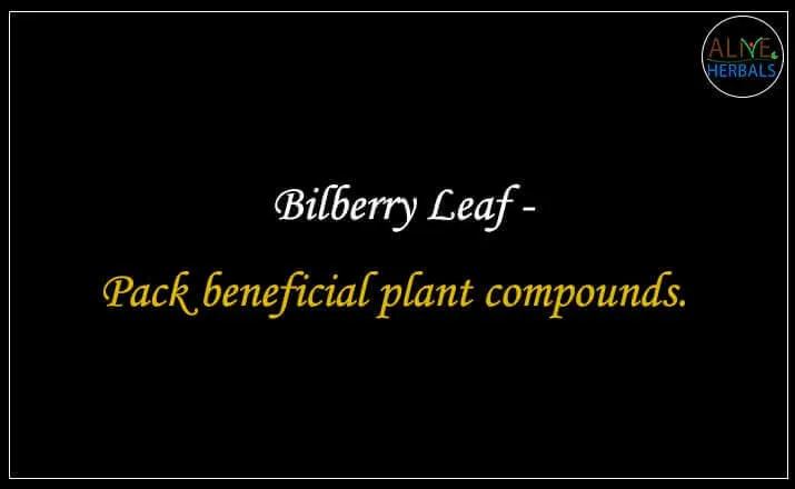 Bilberry Leaf