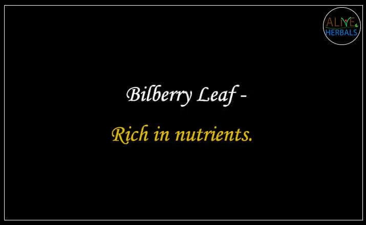 Bilberry Leaf