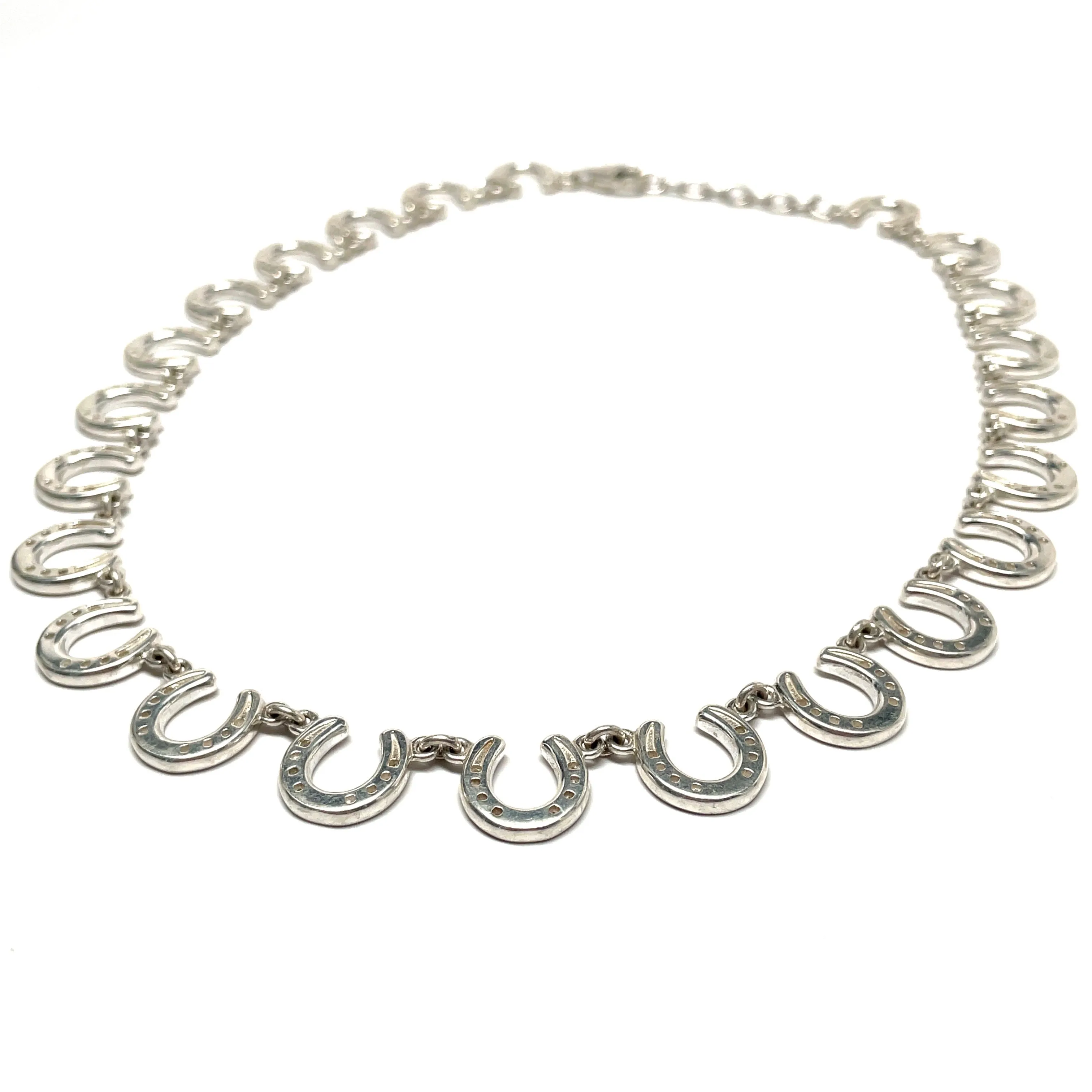 Continuous Horseshoe Necklace