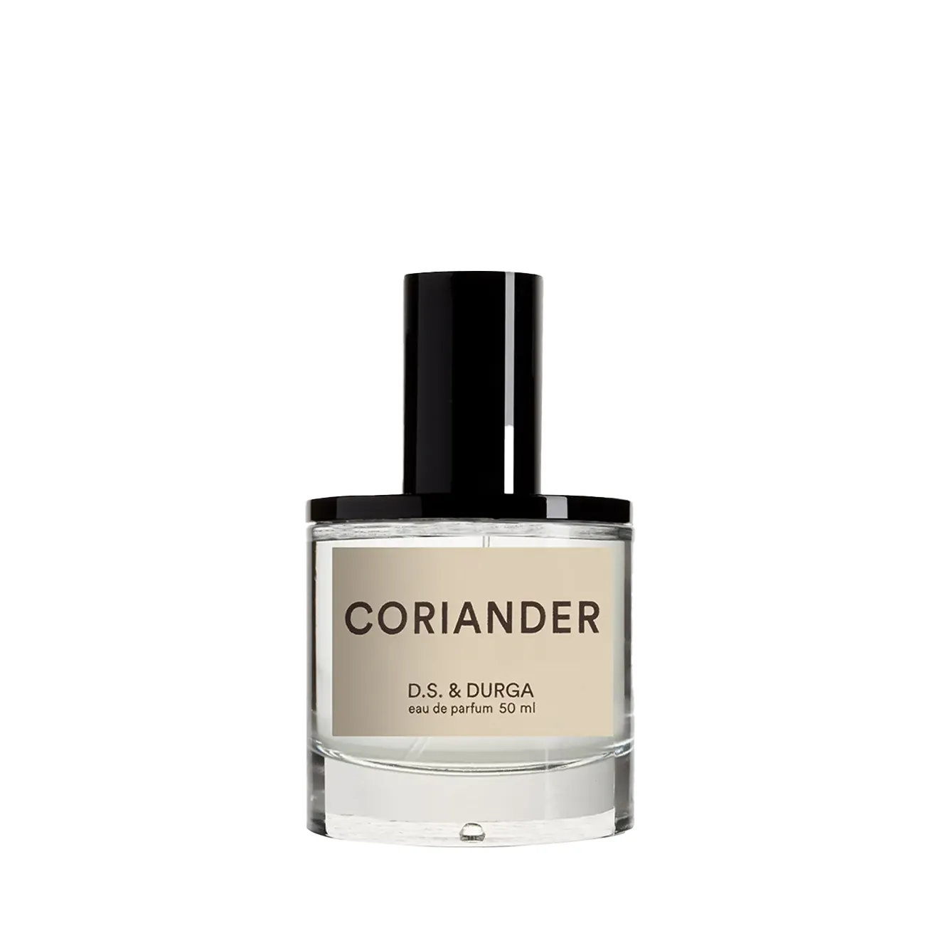 Coriander