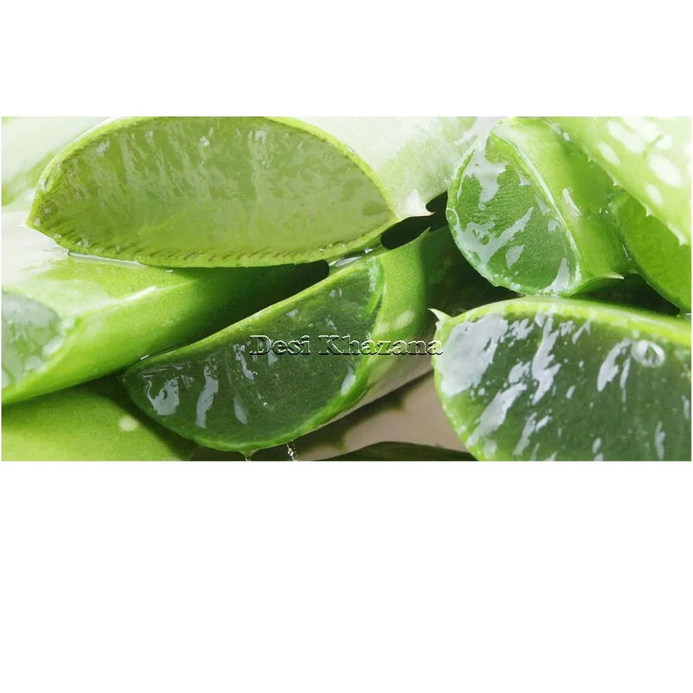 Fresh Aloe Vera Leaf (Large)