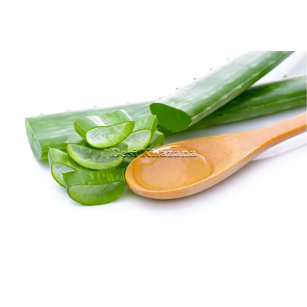 Fresh Aloe Vera Leaf (Large)