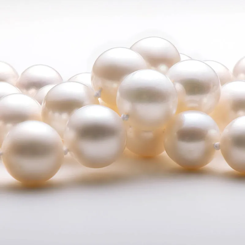 Freshwater Cultured White Pearl Necklace S Shaped Buckle