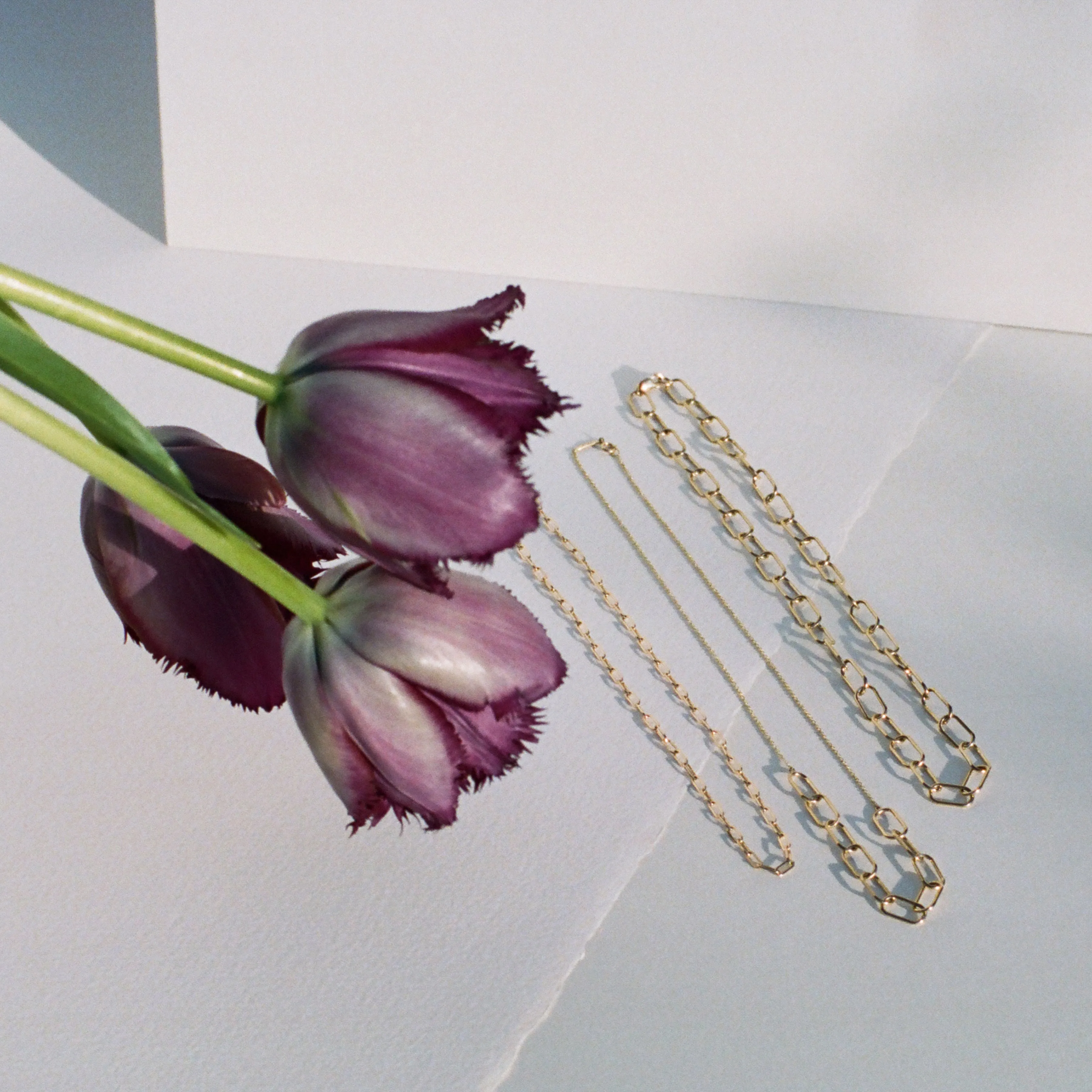 Full Link Necklace