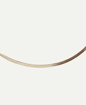 Gigi 14k Solid Gold Herringbone Chain Necklace