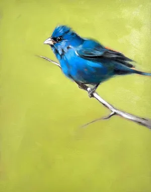 Indigo
