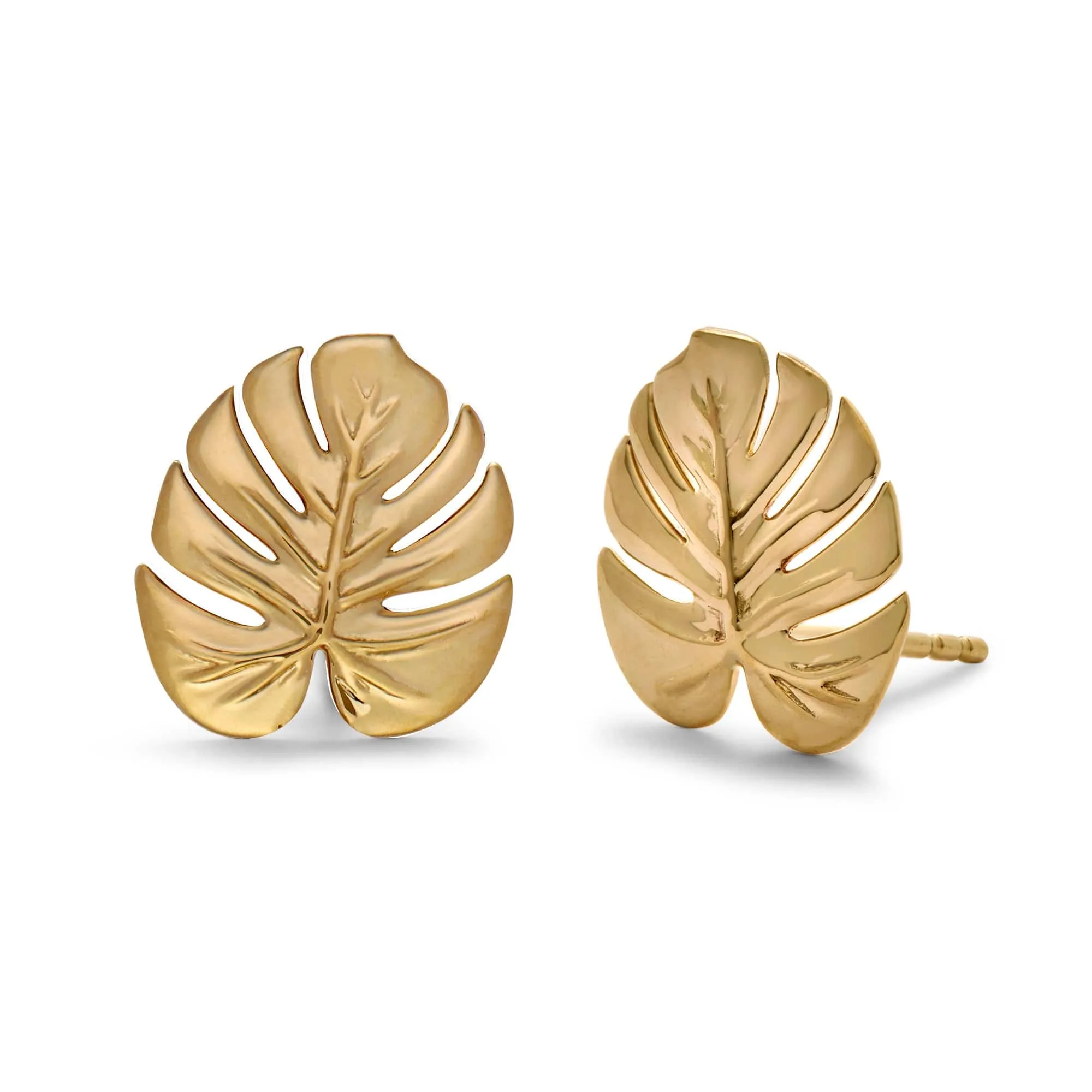 Ready to Ship - Monstera Studs