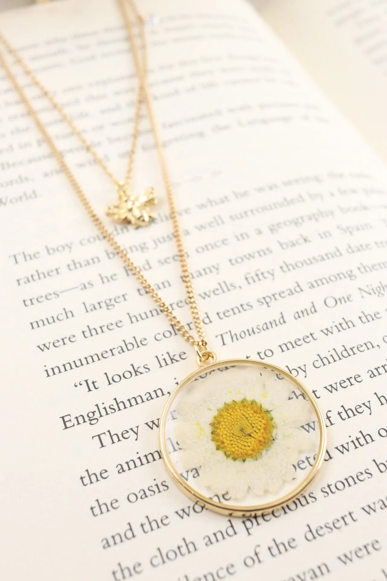 The Daisy Bee