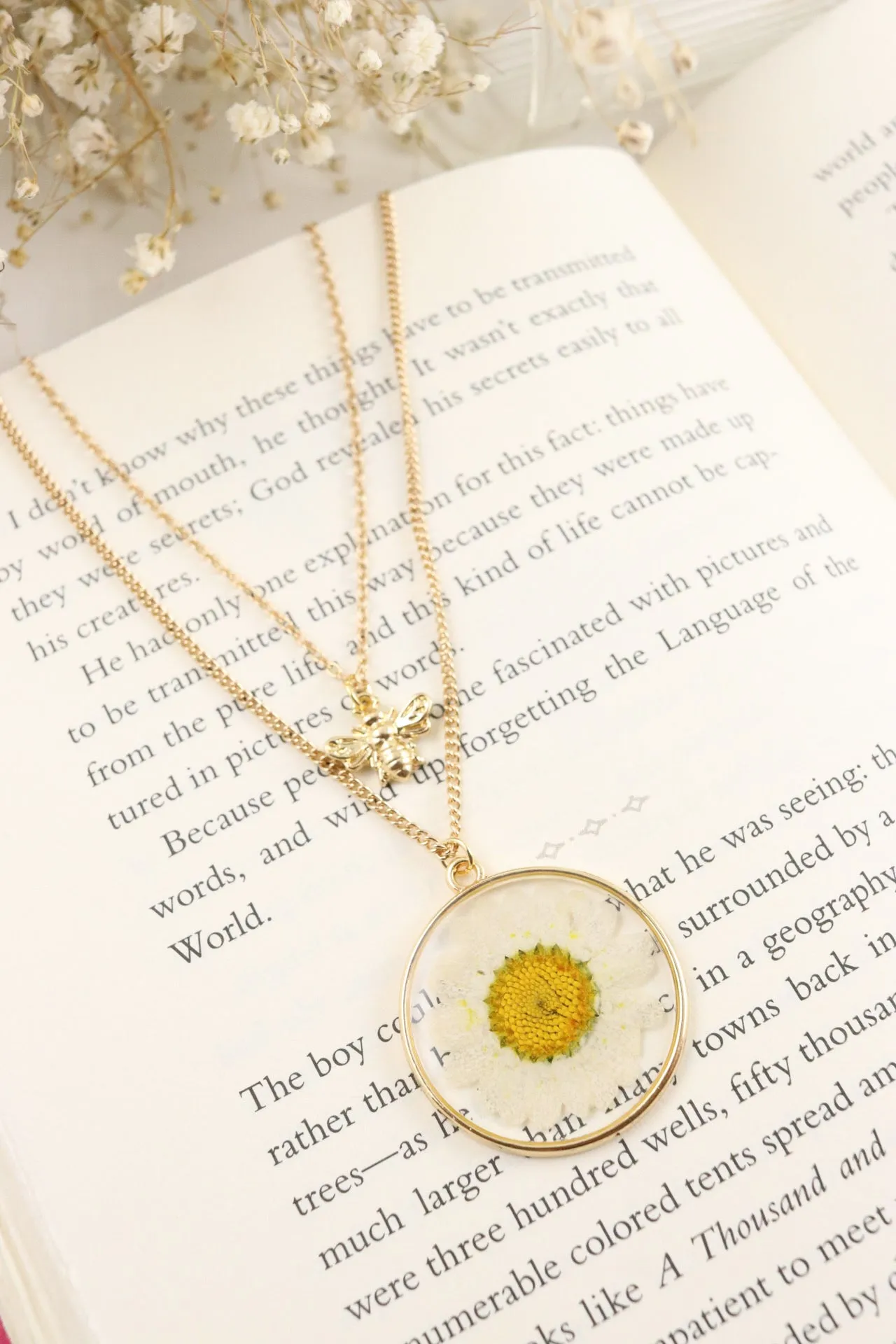 The Daisy Bee