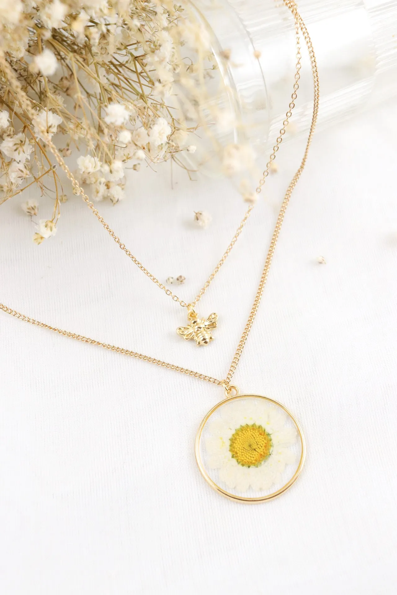 The Daisy Bee