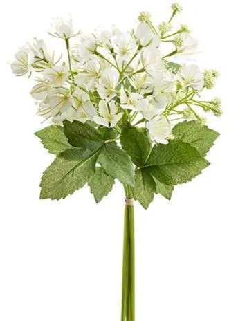 White Cleome Spider Bundle