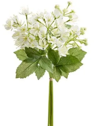 White Cleome Spider Bundle