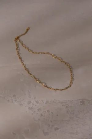 Wide Oval Chain Necklace - 14K Gold Plated