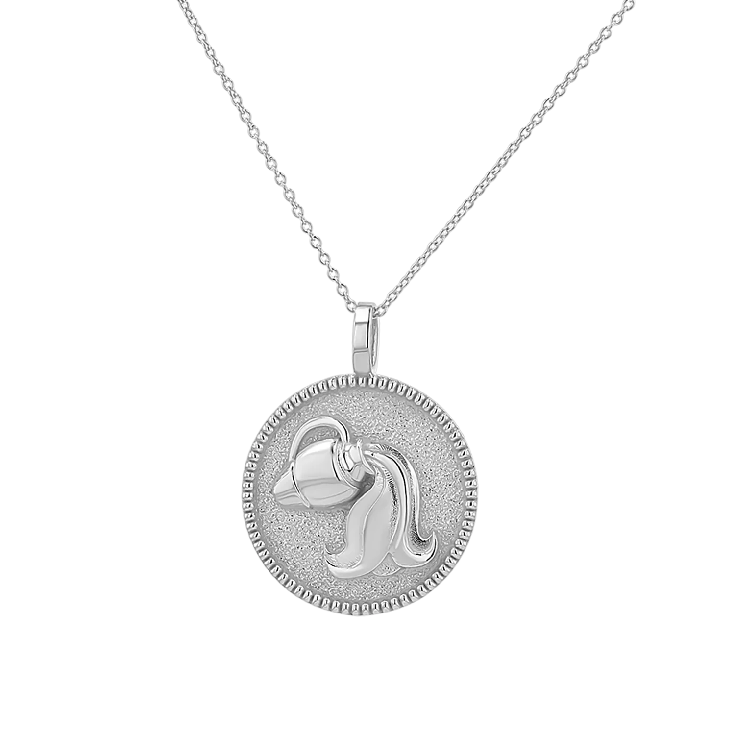 Zodiac Coin Medallion Necklace