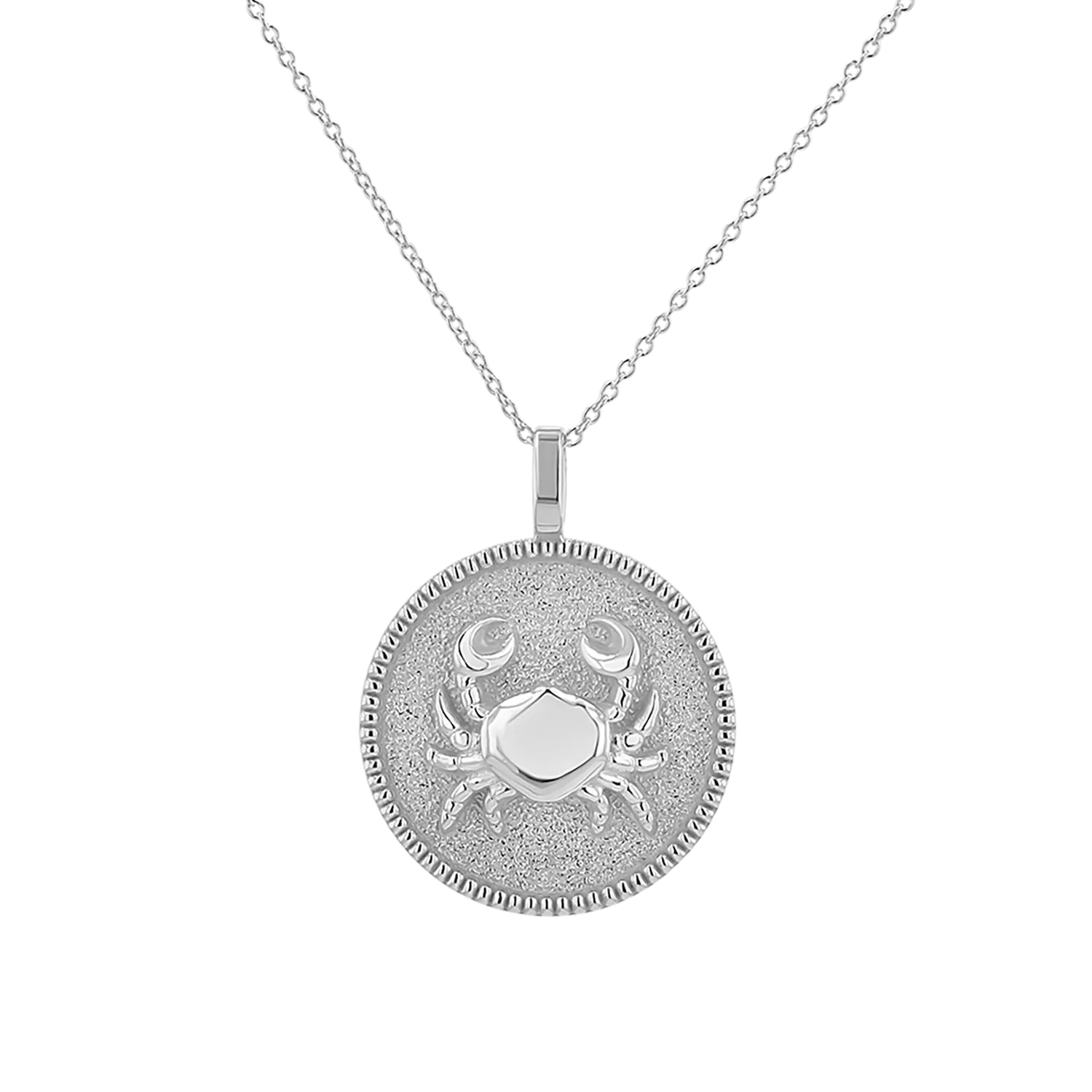 Zodiac Coin Medallion Necklace