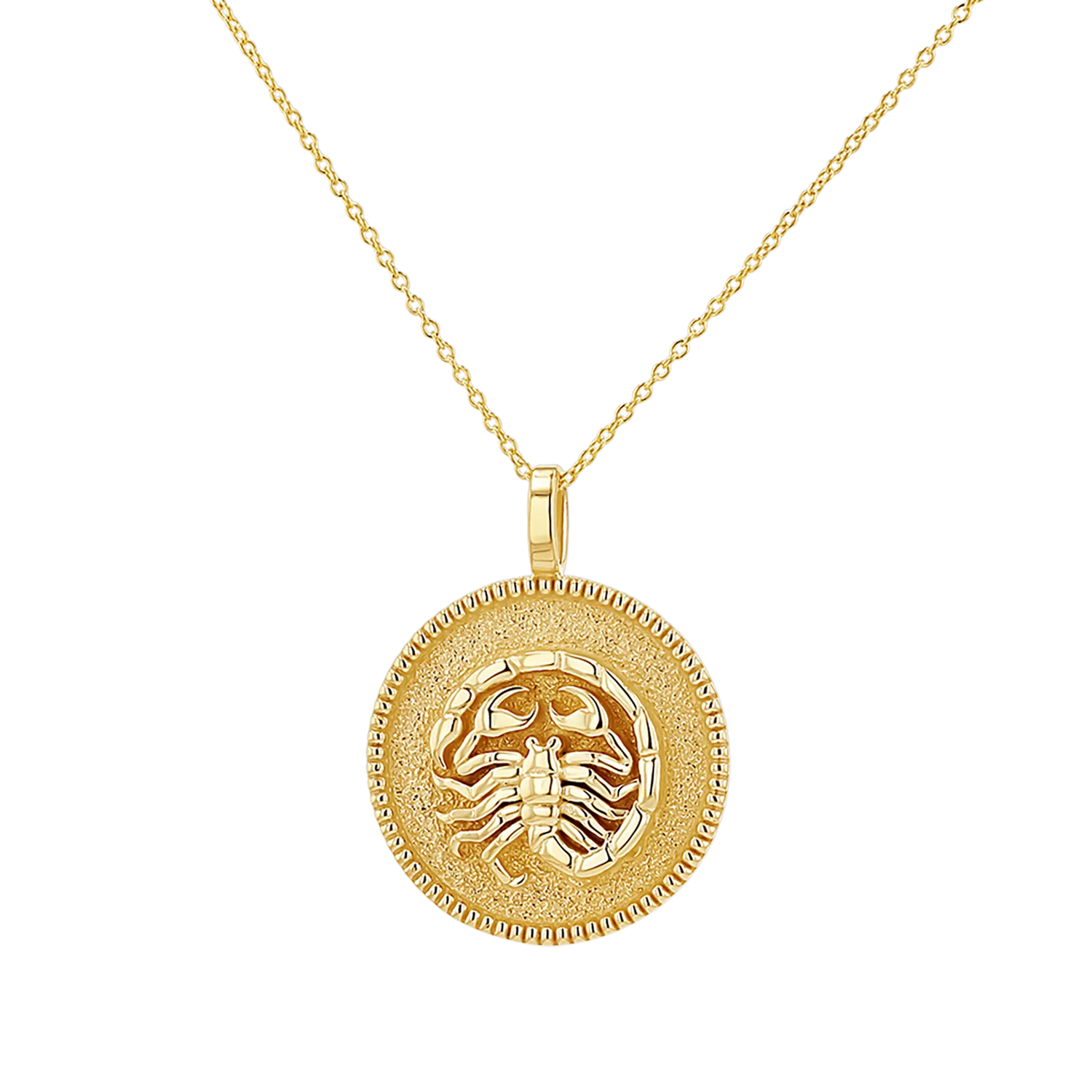Zodiac Coin Medallion Necklace