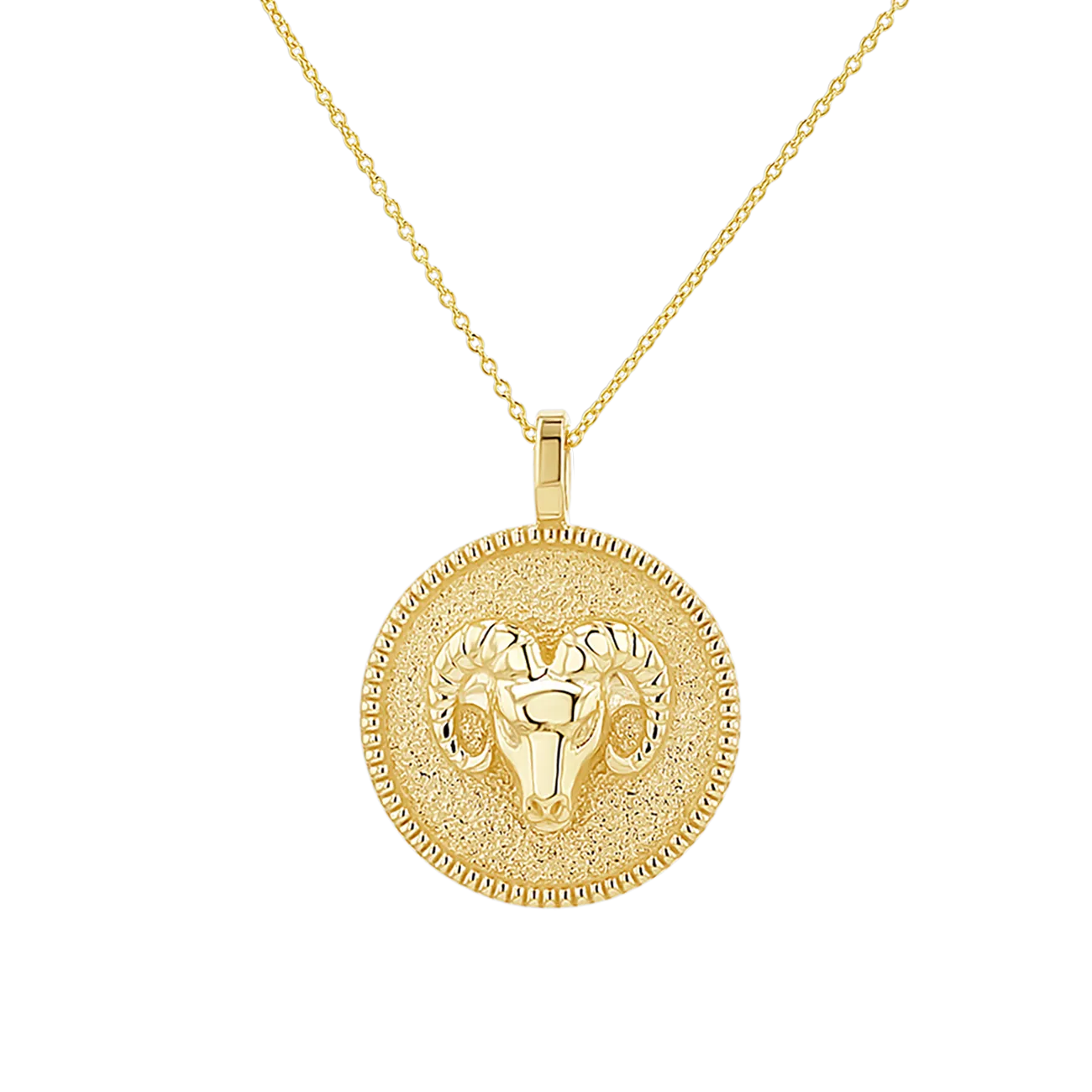 Zodiac Coin Medallion Necklace
