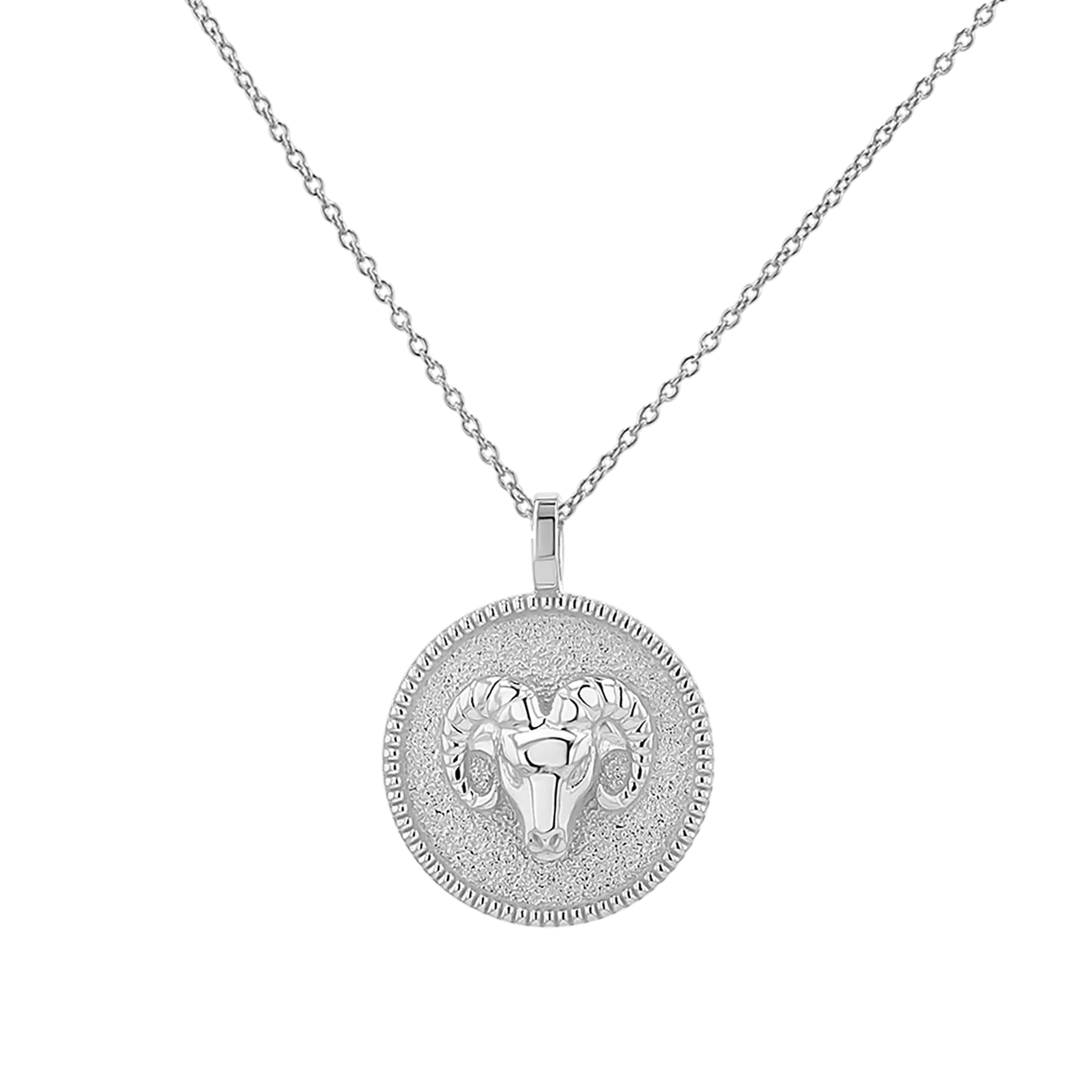 Zodiac Coin Medallion Necklace