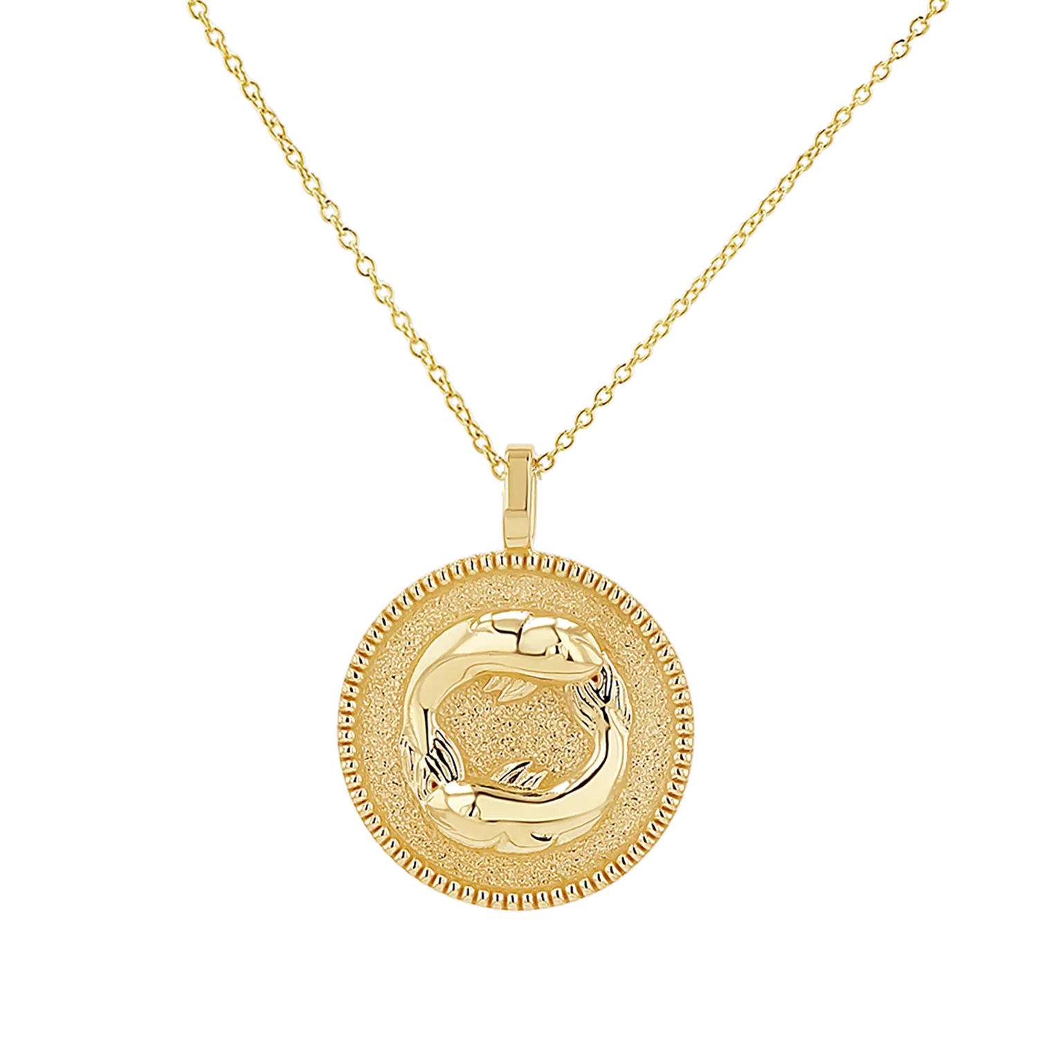 Zodiac Coin Medallion Necklace