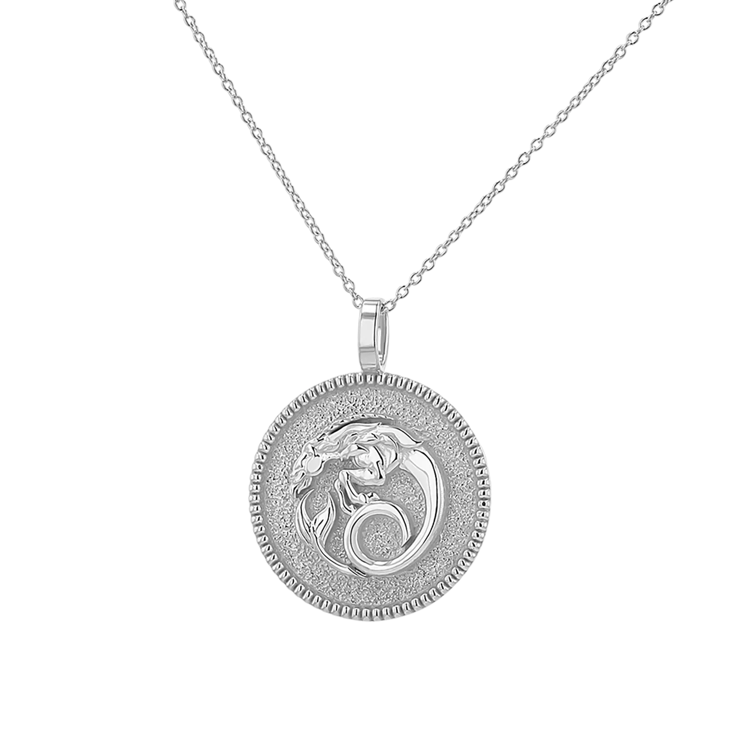 Zodiac Coin Medallion Necklace