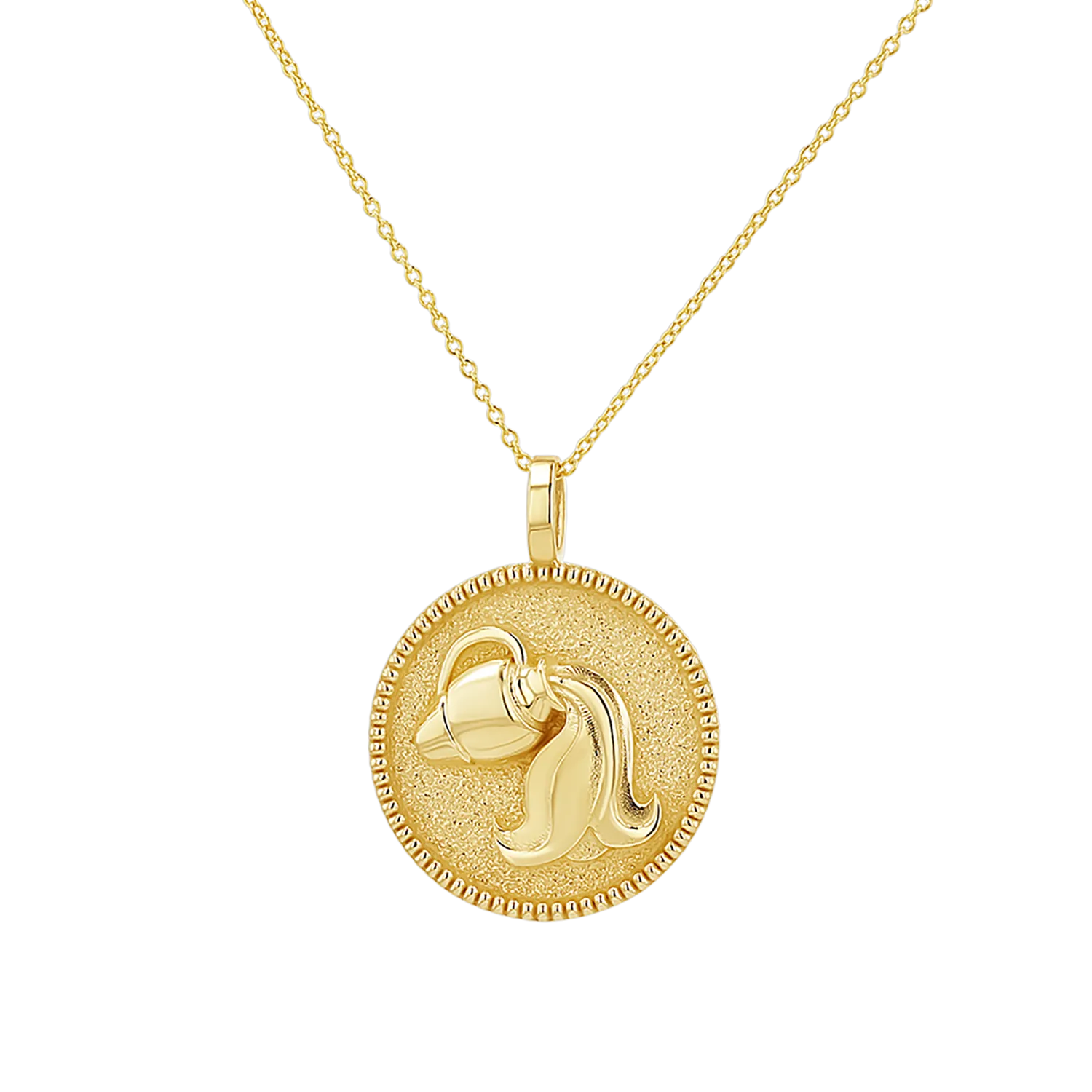 Zodiac Coin Medallion Necklace