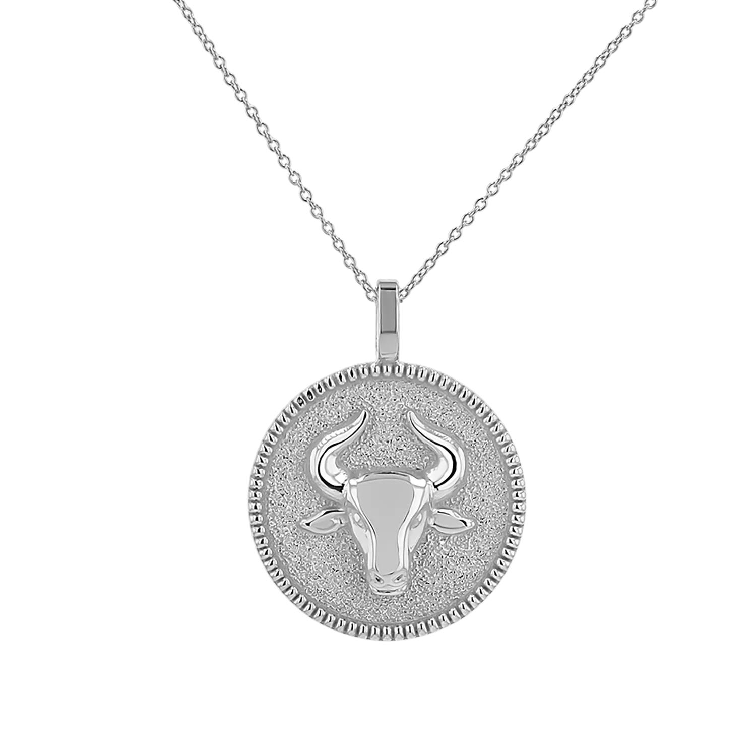 Zodiac Coin Medallion Necklace