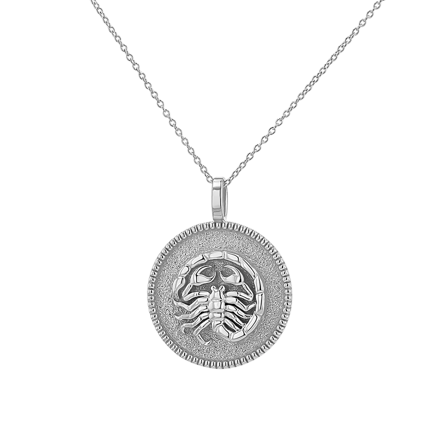 Zodiac Coin Medallion Necklace